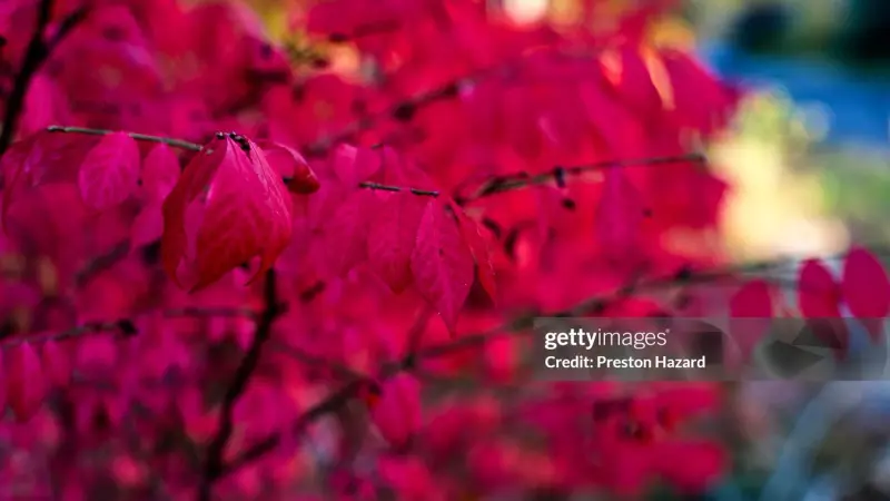 Preston Hazard Photography